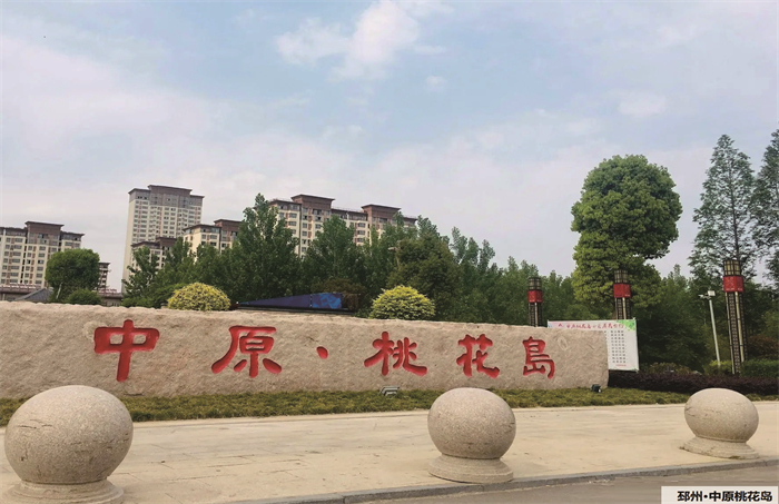 電梯安裝圖-中原桃花島